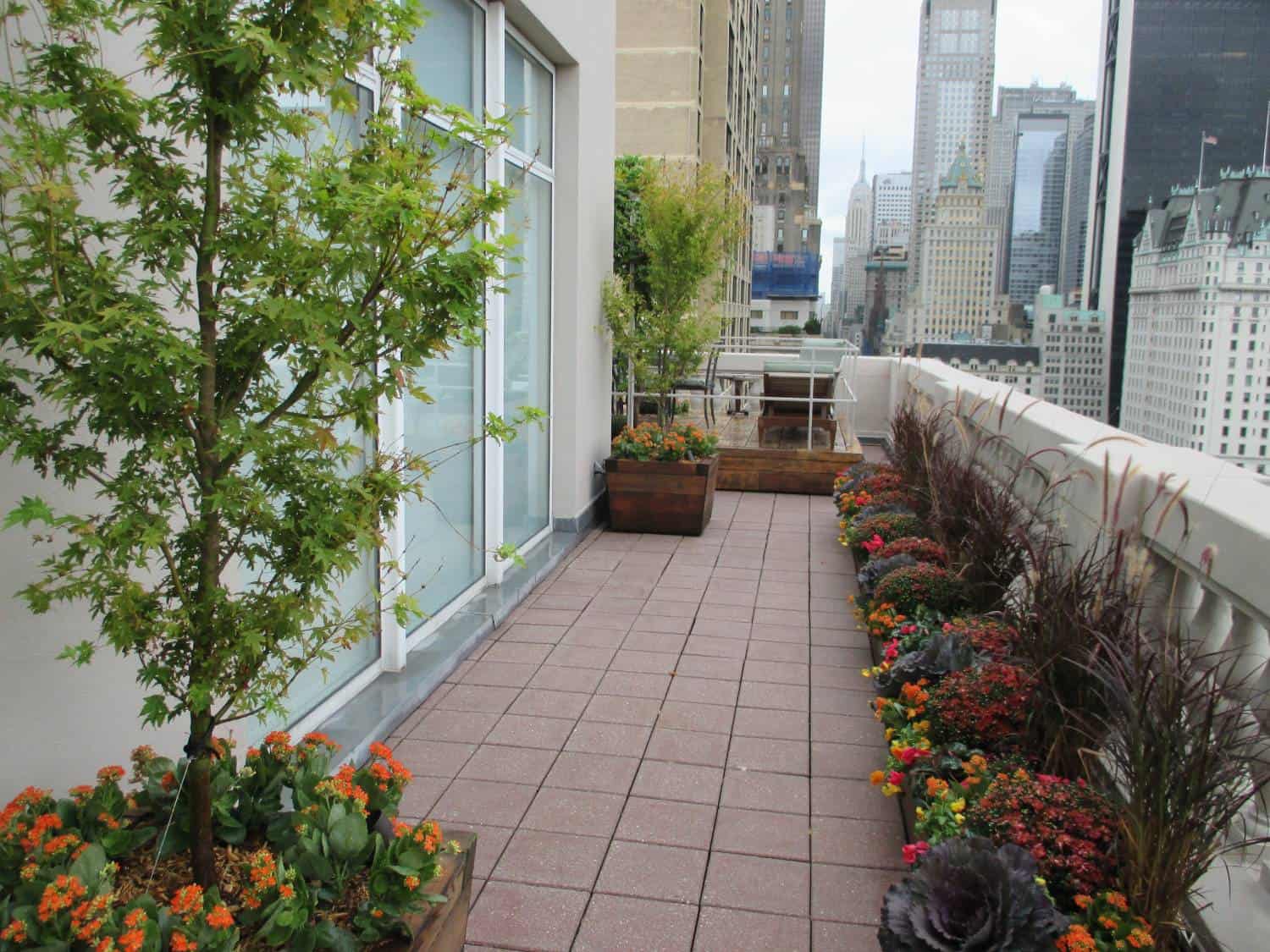 Fall Backyard Rooftop Rooftop Landscaping | Bison Landscaping
